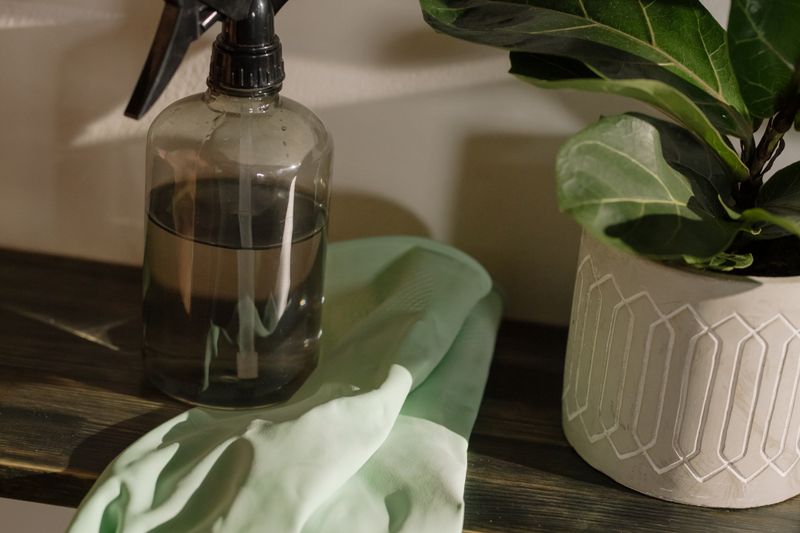 Professional cleaning service